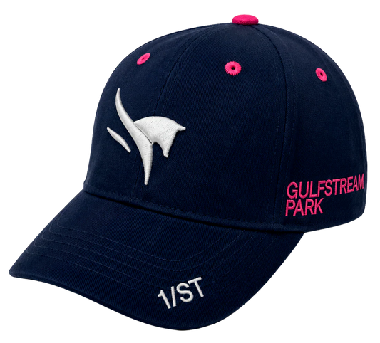 1/ST GULF STREAM PARK 2022 DAD HAT NAVY - PEGASUS