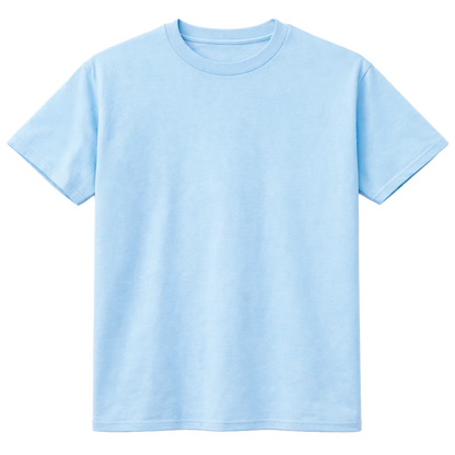 ASSORTED PREMIUM BLANK T-SHIRTS ASST - BLANKS- 6 PC PACK