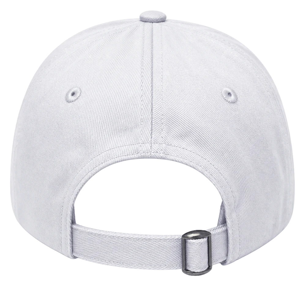 JOSHUA TREE NATIONAL PARK DAD HAT LAVANDE ALL - BA26874NPFU - 6PC PACK