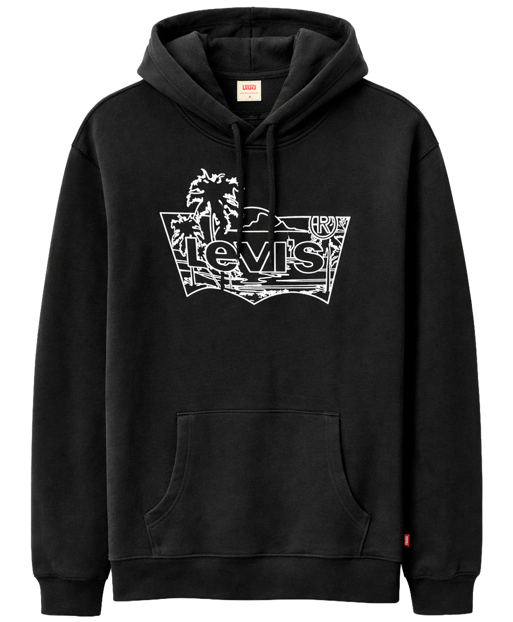 LEVI ASSORTED HOODIES- 6PC PACK