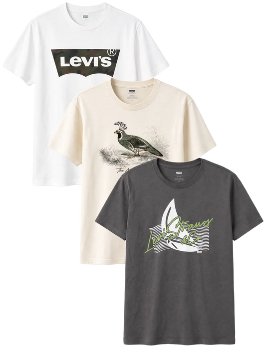 LEVI ASSORTED TEES- 6PC PACK