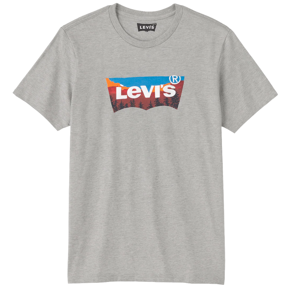 LEVI ASSORTED TEES- 6PC PACK