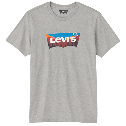 LEVI ASSORTED TEES- 6PC PACK