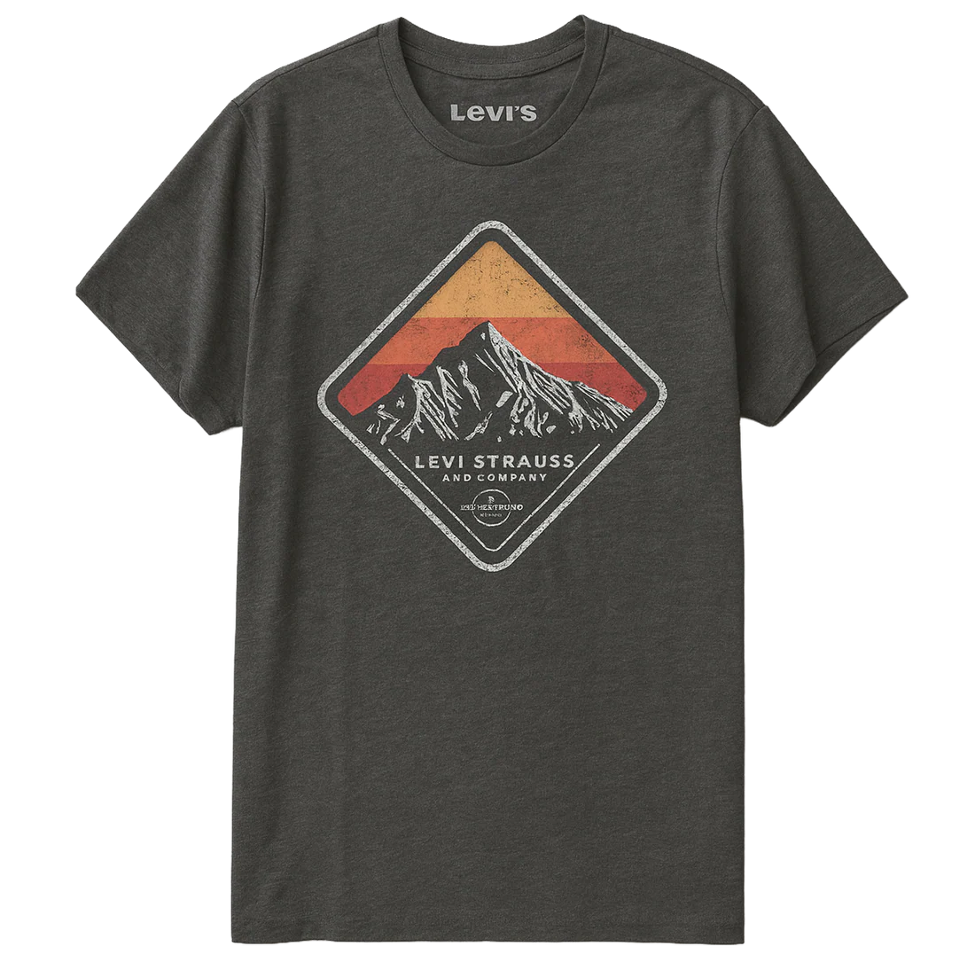 LEVI ASSORTED TEES- 6PC PACK