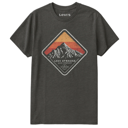 LEVI ASSORTED TEES- 6PC PACK