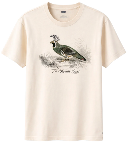LEVI ASSORTED TEES- 6PC PACK
