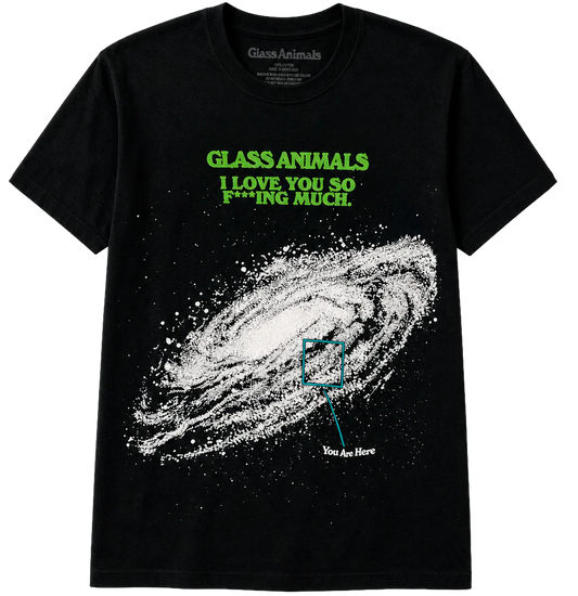 LICENSED MUSIC GLASS ANIMALS T-SHIRT BLACK - 40381000