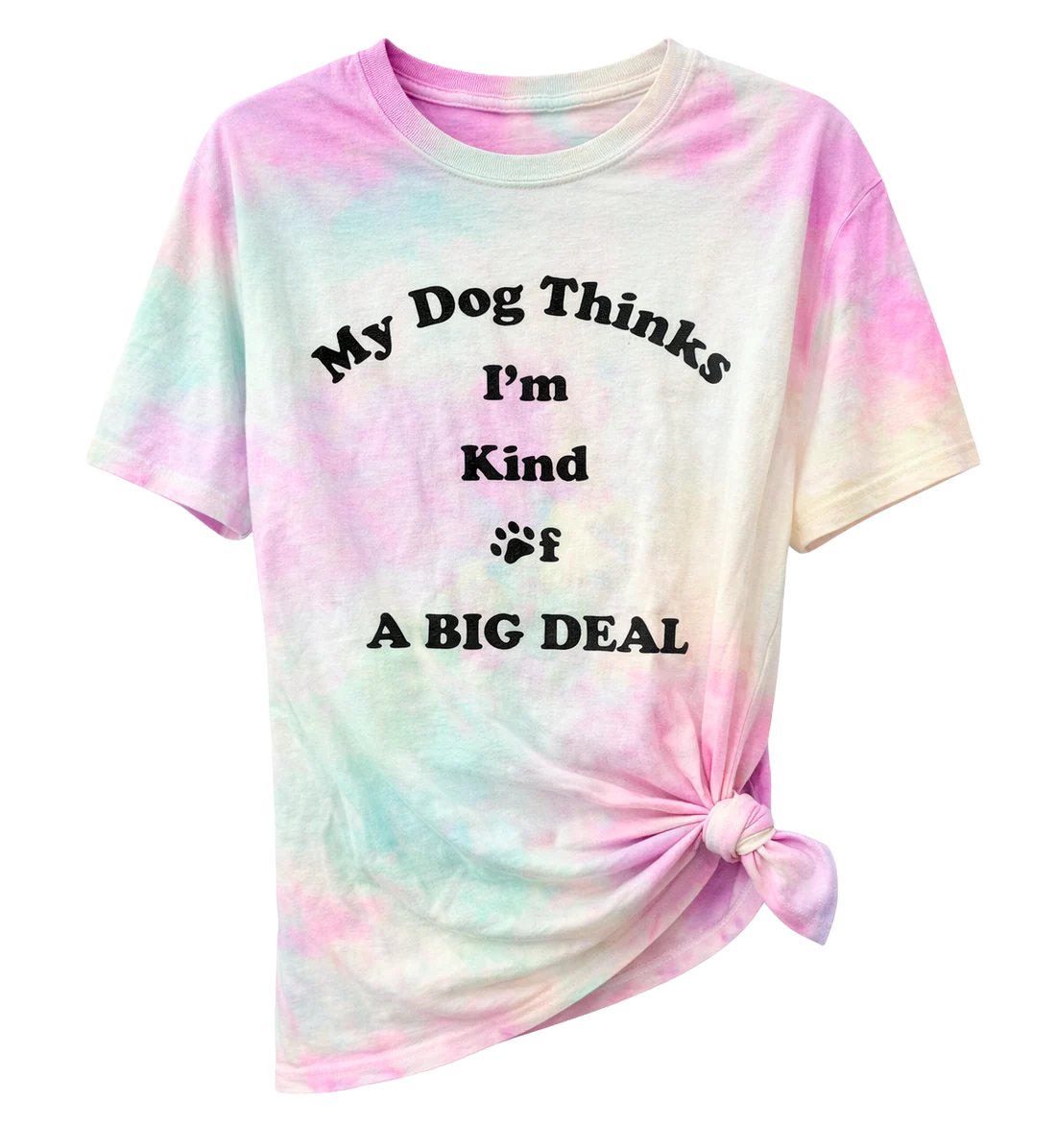 WOMENS LICENSED ASSORTED T-SHIRTS ASST - LCWMTS25 / OP3179- 6PC PACK