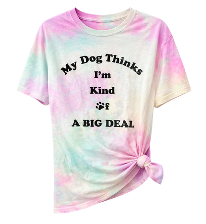 WOMENS LICENSED ASSORTED T-SHIRTS ASST - LCWMTS25 / OP3179- 6PC PACK
